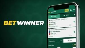Explore BetWinner Online Casino and Sportsbook Your Ultimate Betting Destination